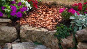 A garden bed with colorful petunias and crushed terracotta mulch between large rocks