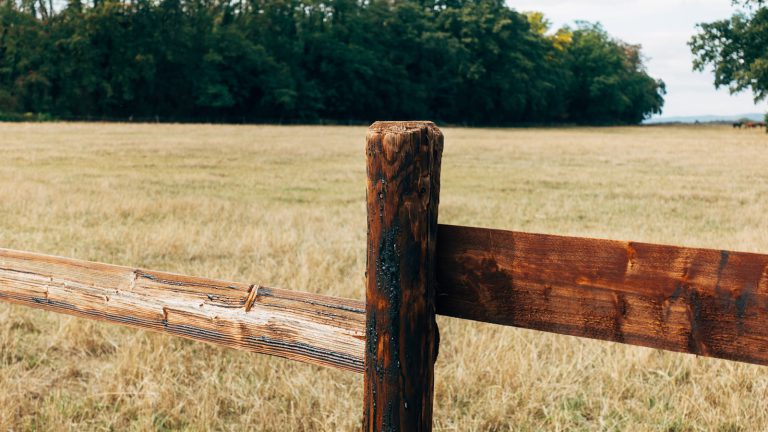 Brown wooden fence on brown grass field during daytime