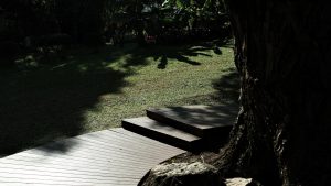Wooden deck and steps leading to a grassy yard