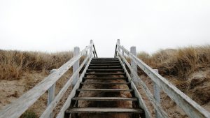 A weathered timber staircase with handrails climbing over dunes