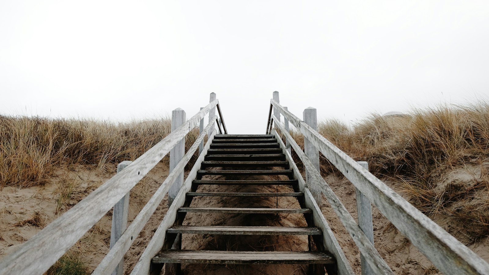 A weathered timber staircase with handrails climbing over dunes